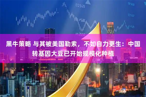 黑牛策略 与其被美国勒索，不如自力更生：中国转基因大豆已开始规模化种植