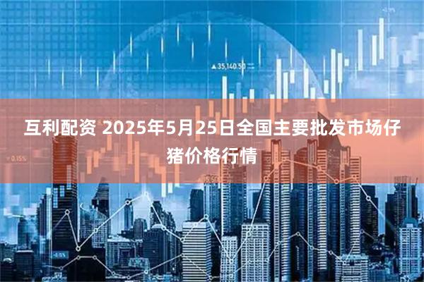 互利配资 2025年5月25日全国主要批发市场仔猪价格行情